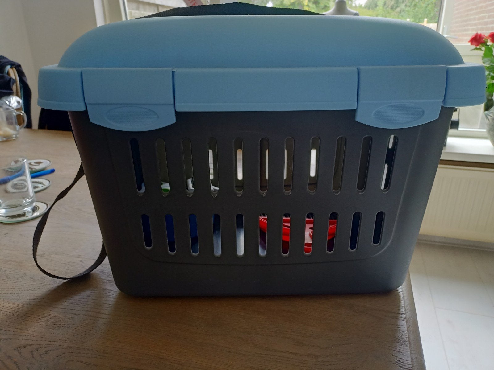 knaagdieren transport mand, Dieren en Toebehoren, Ophalen of Verzenden, Zo goed als nieuw, Minder dan 75 cm, Minder dan 60 cm