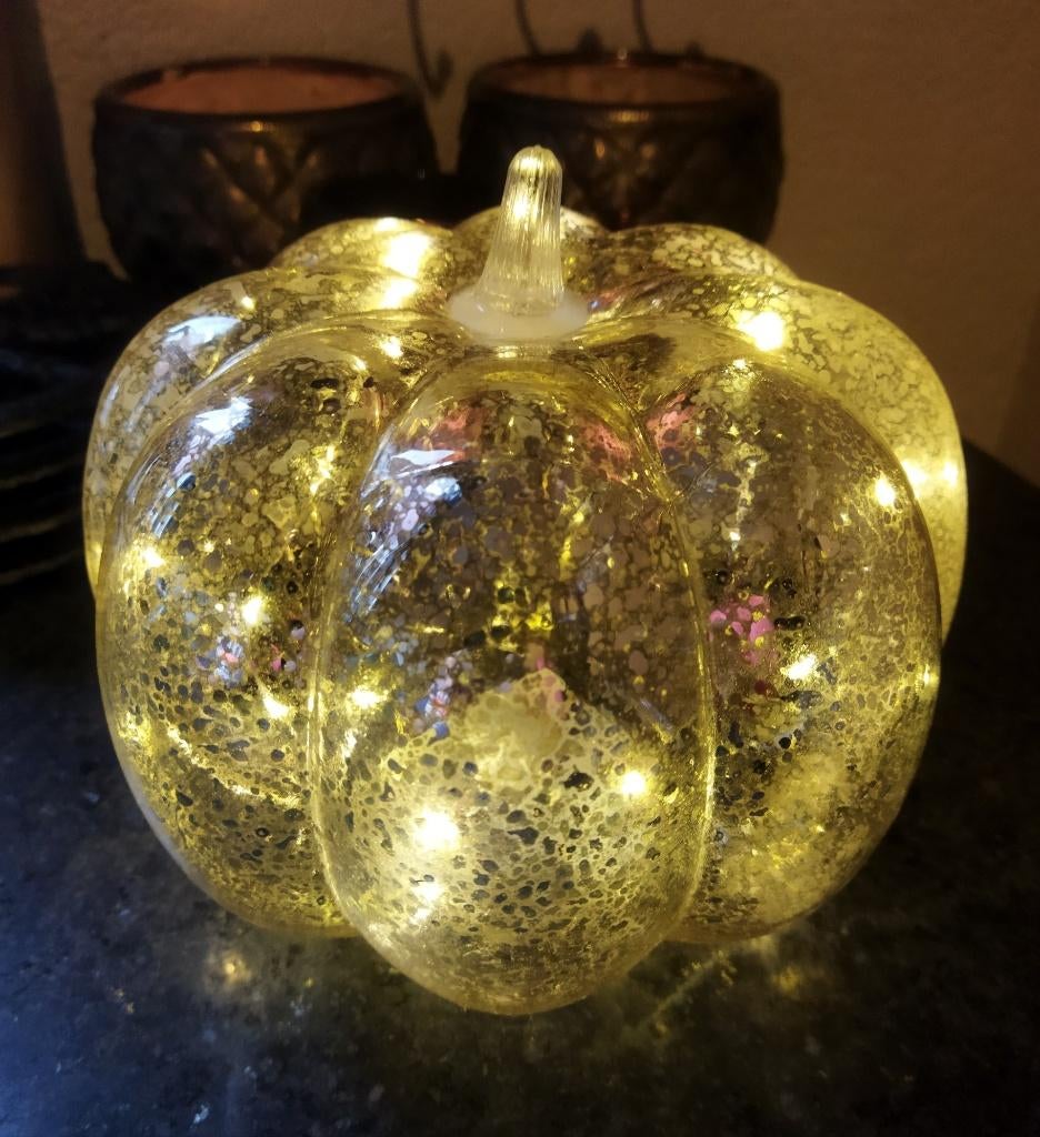Nieuw: Pompoenen Met Licht, Meerkleurig, Nieuw, Ophalen of Verzenden, Landelijk
