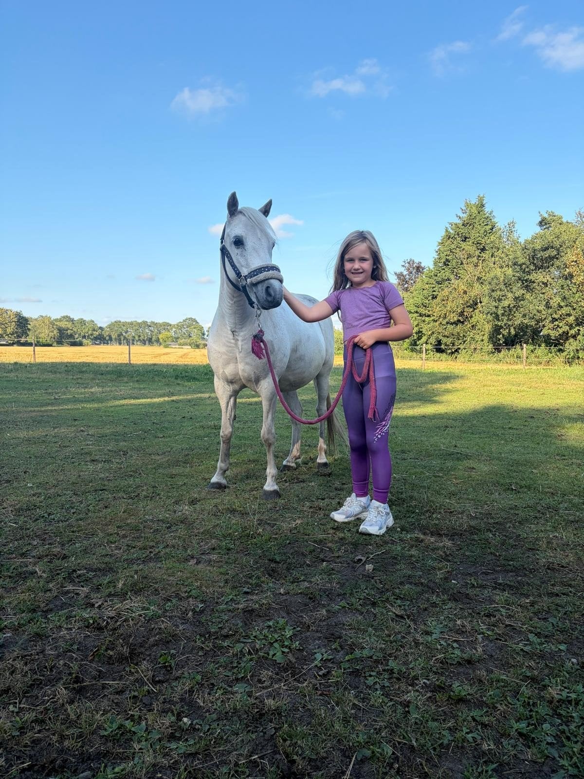 14 jarige merrie a pony, Dieren en Toebehoren, Merrie, A pony (tot 1.17m), Gechipt, 11 jaar of ouder