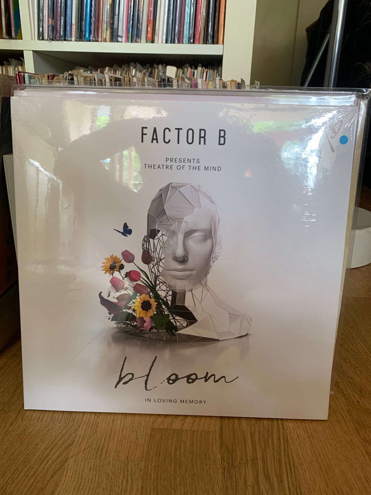 Factor b - presents theatre of the mind lp, LP, Trance, Ophalen of Verzenden, 12 inch