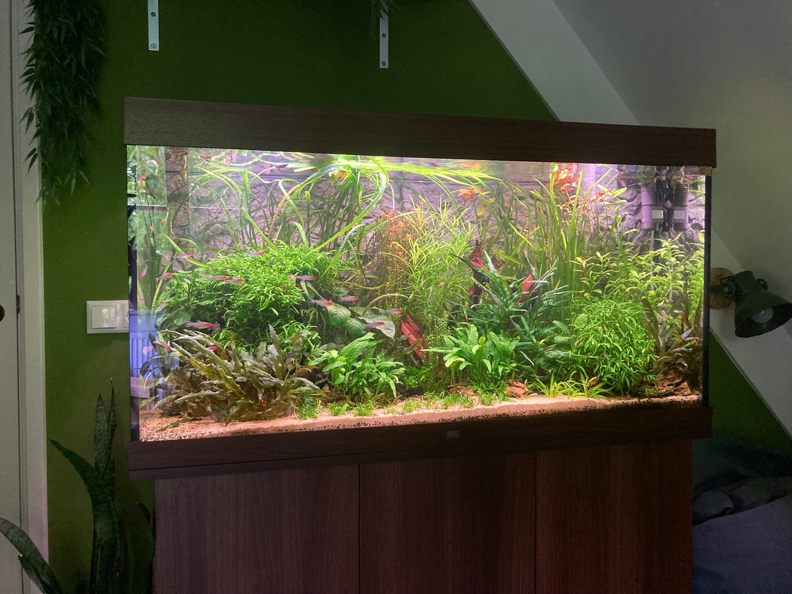 Juwel Rio 350 Aquarium, Dieren en Toebehoren, Vissen | Aquaria en Toebehoren, Ophalen, Inclusief deksel, Zo goed als nieuw, Leeg aquarium