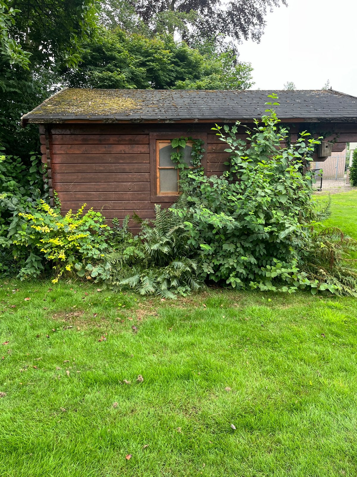 Houten Tuinhuis - 380x480x300 cm - Goede Staat, Ophalen, Gebruikt, Tuinhuis, 250 tot 500 cm