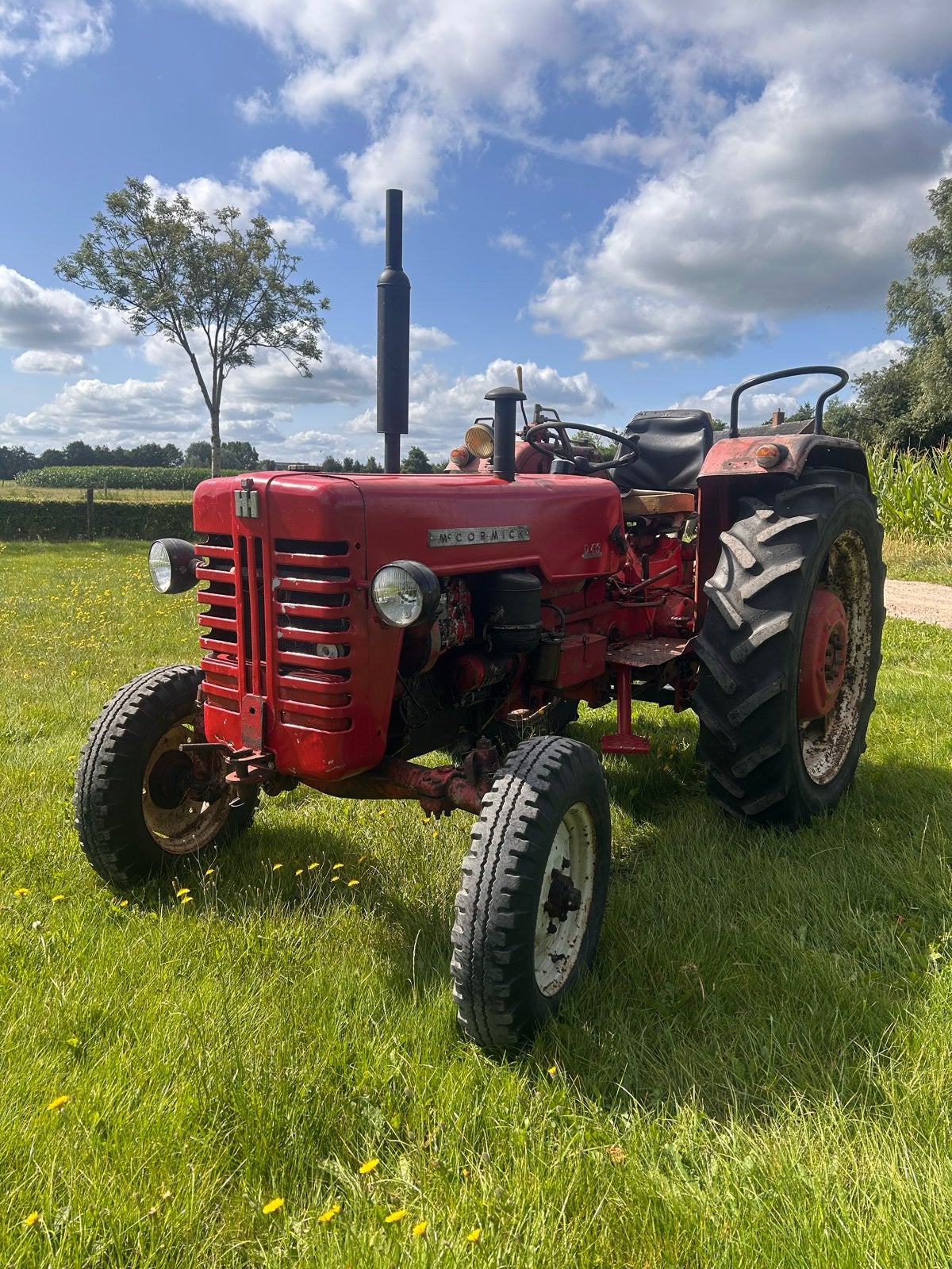 McCormick D-439 Oldtimer Tractor - Goed Onderhouden, Ophalen