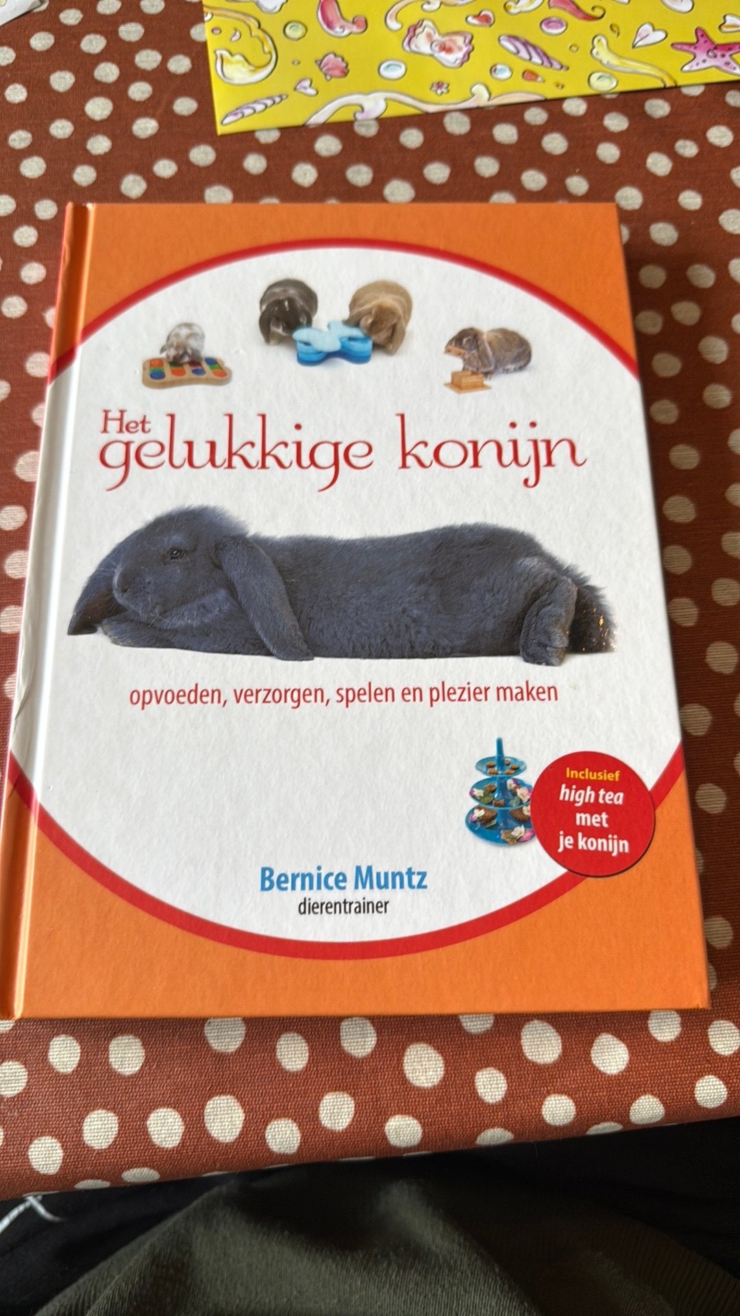 Bernice Muntz - Het gelukkige konijn, Ophalen of Verzenden, Zo goed als nieuw, Bernice Muntz