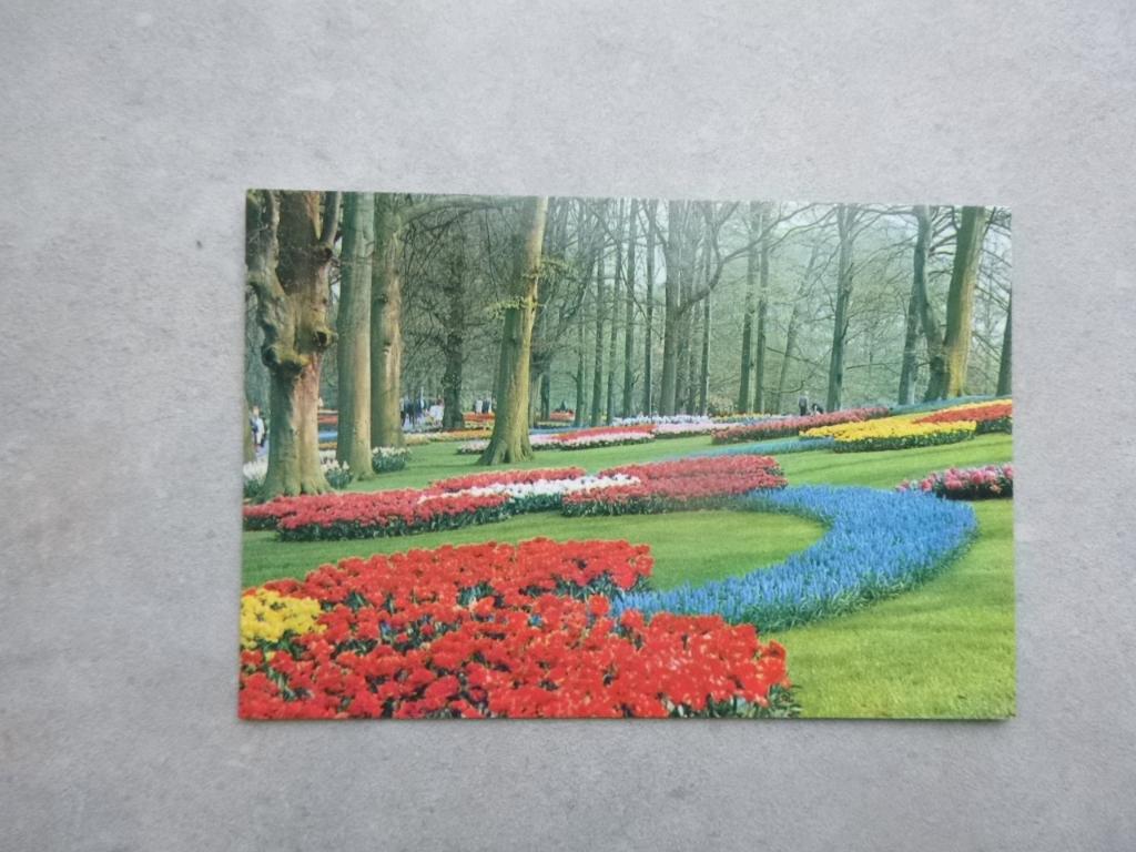 Lisse, Keukenhof (1), Verzenden, 1980 tot heden, Ongelopen, Noord-Brabant