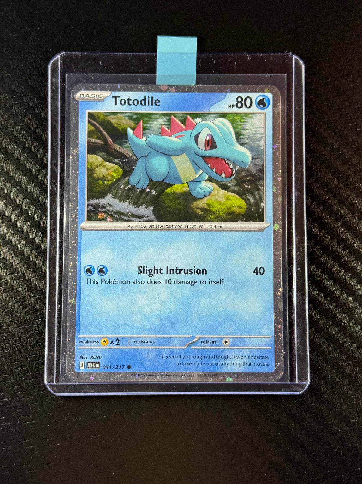 Totodile | Holo | Common | Ascended Heroes | 2026 | #041/217, Verzenden, Zo goed als nieuw, Losse kaart
