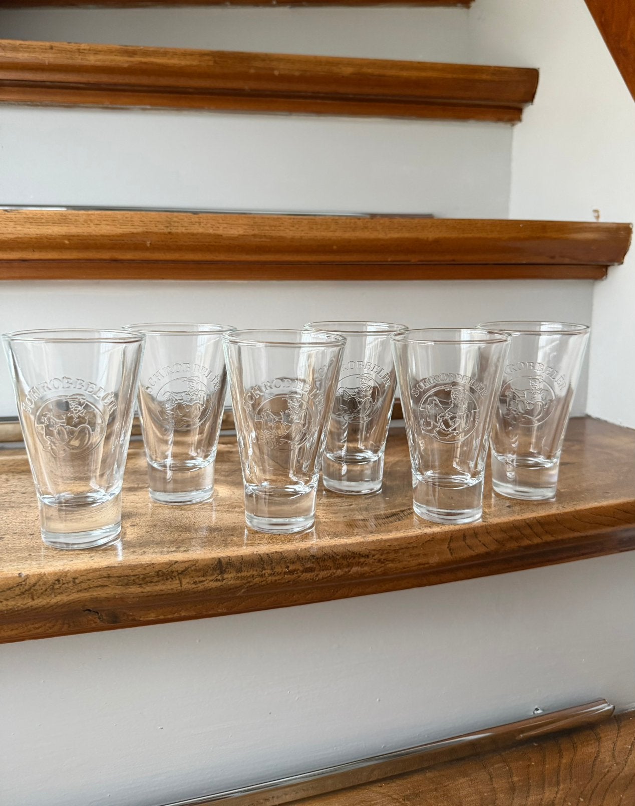 6x Schrobbelèr borrelglas, Ophalen of Verzenden, Zo goed als nieuw, Borrel- of Shotglas