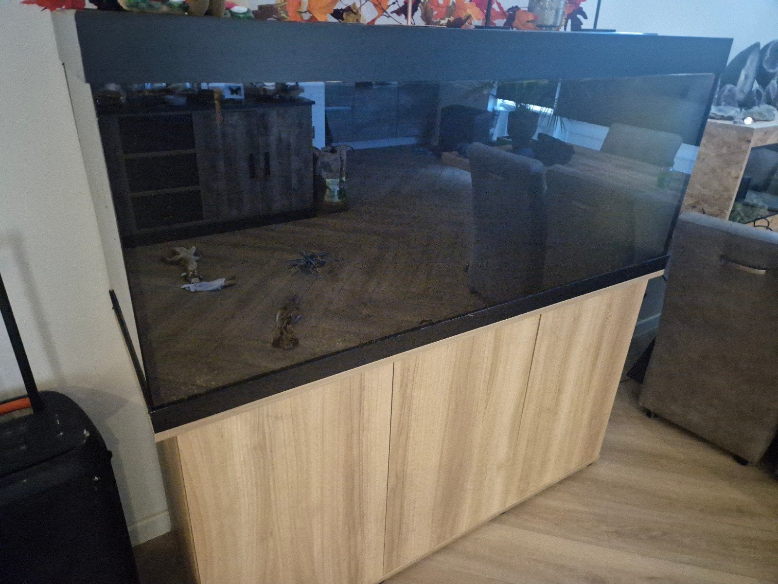 Juwel Rio 450 met pomp, Dieren en Toebehoren, Ophalen