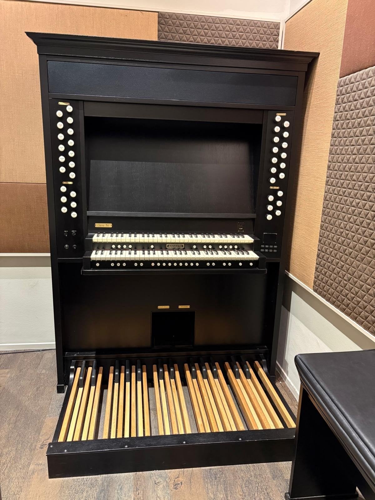 Andante Classic P45 Orgel - Zo goed als nieuw, Ophalen