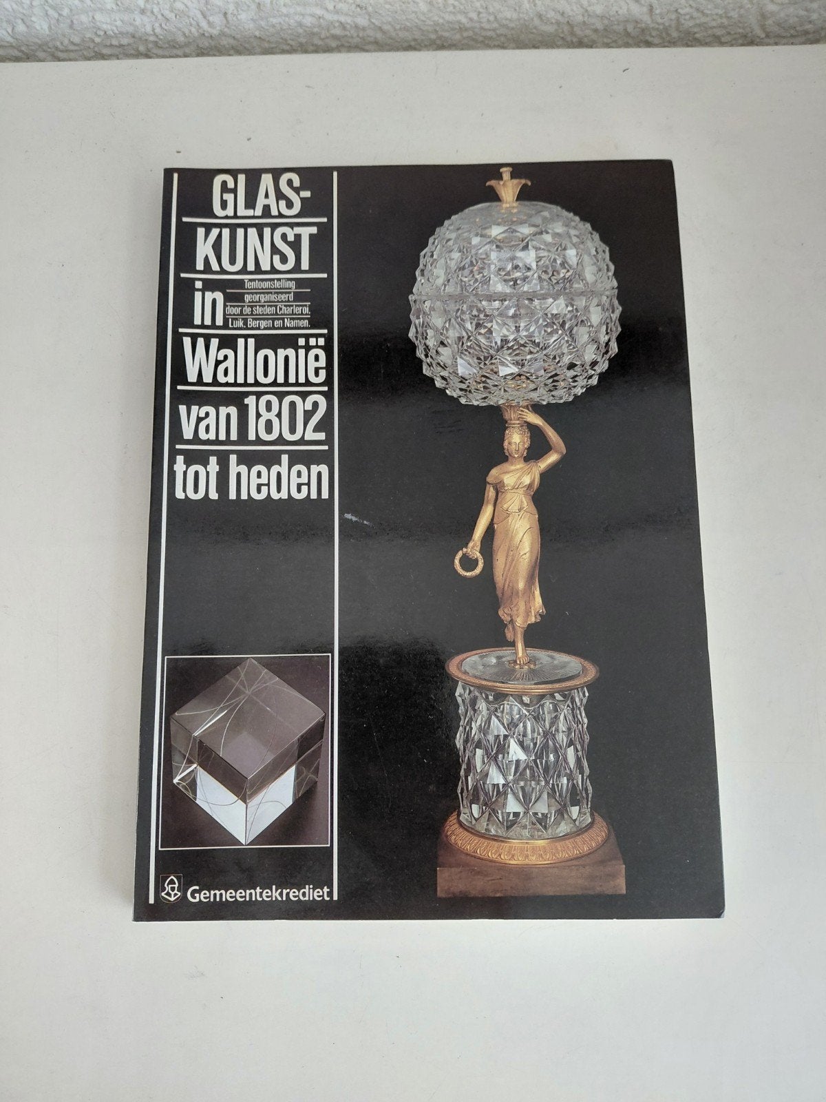 boek glaskunst in wallonië, Ophalen of Verzenden, Gelezen