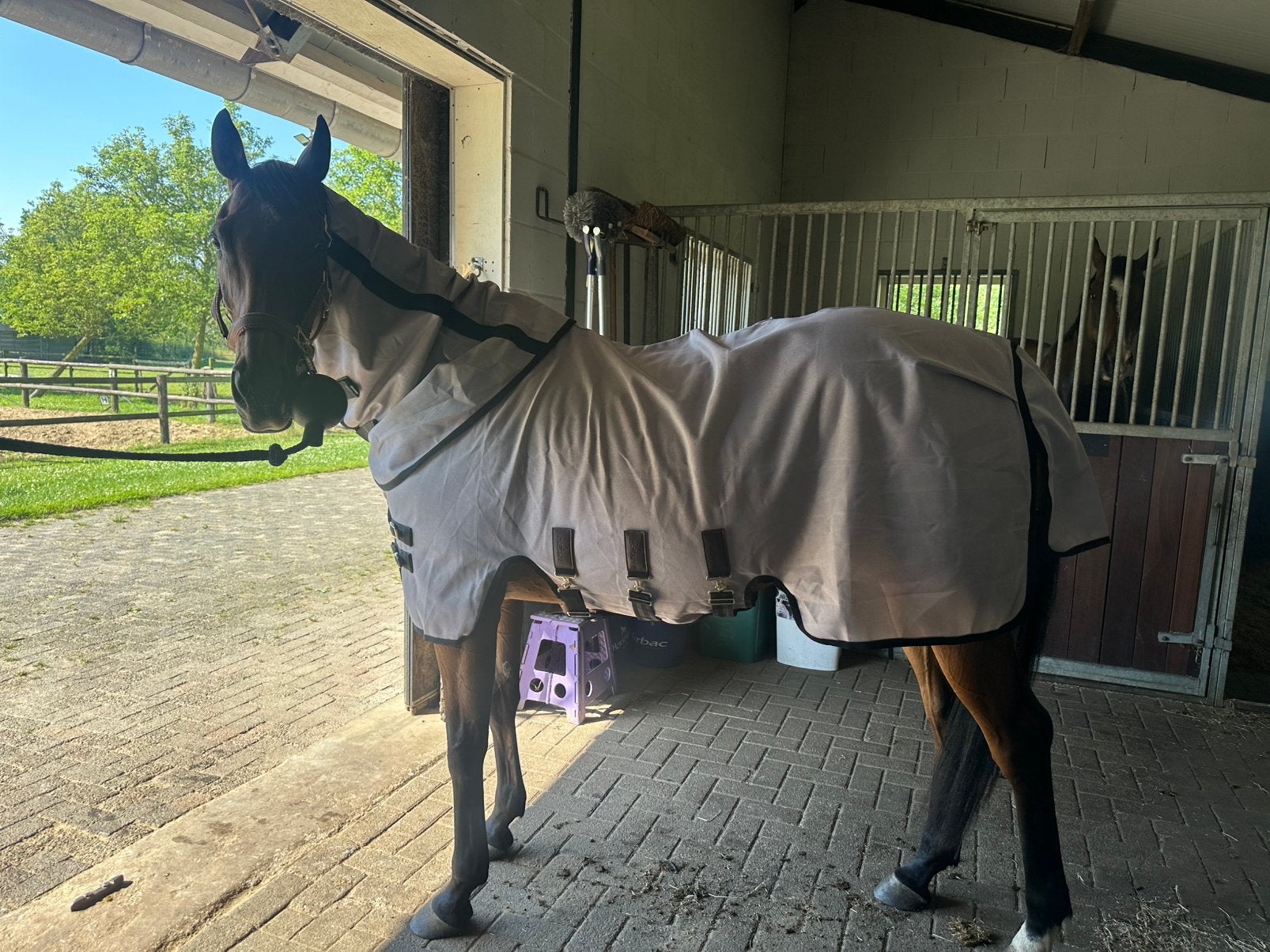 Kentucky vliegen deken 6.0, Dieren en Toebehoren, Paarden en Pony's | Dekens en Dekjes, Ophalen of Verzenden, Zo goed als nieuw