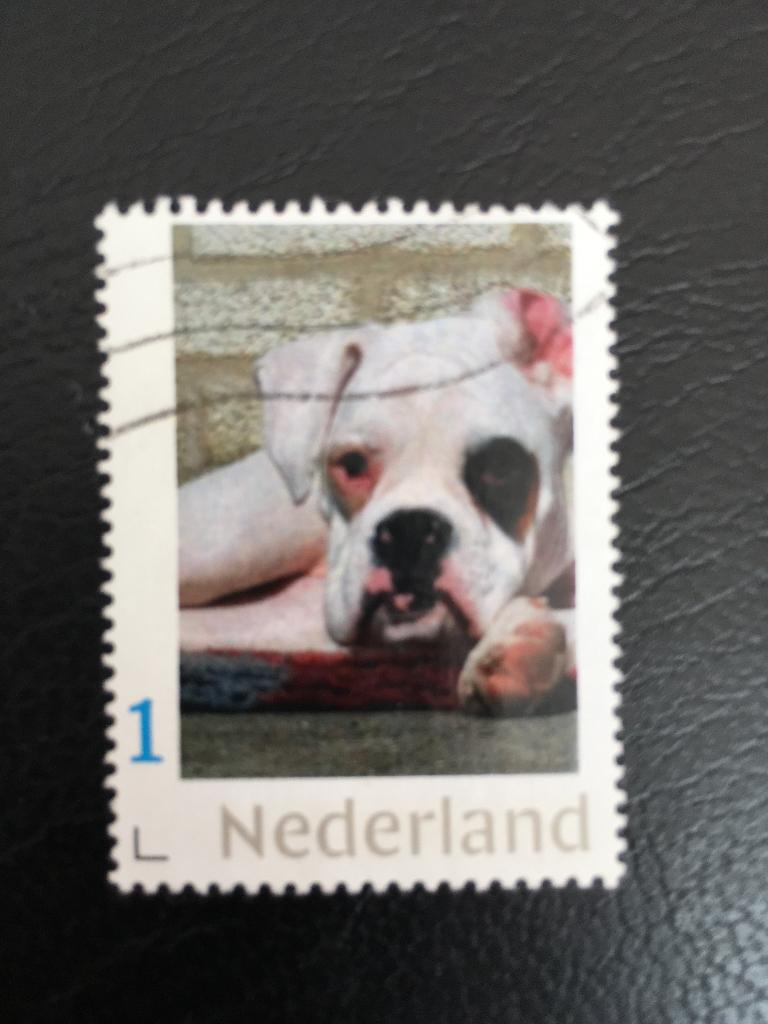 2020 Persoonlijke - Hond - gestempeld, Ophalen of Verzenden, Na 1940, Gestempeld