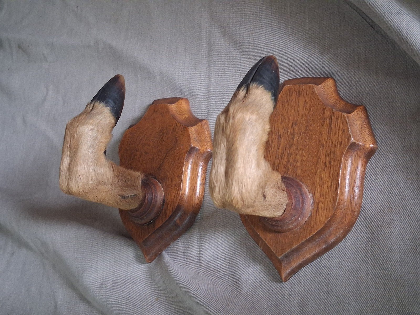 Geweersteunen, geweerhouder, 2  hertenpootjes, Verzamelen, Dierenverzamelingen, Ophalen of Verzenden, Hert