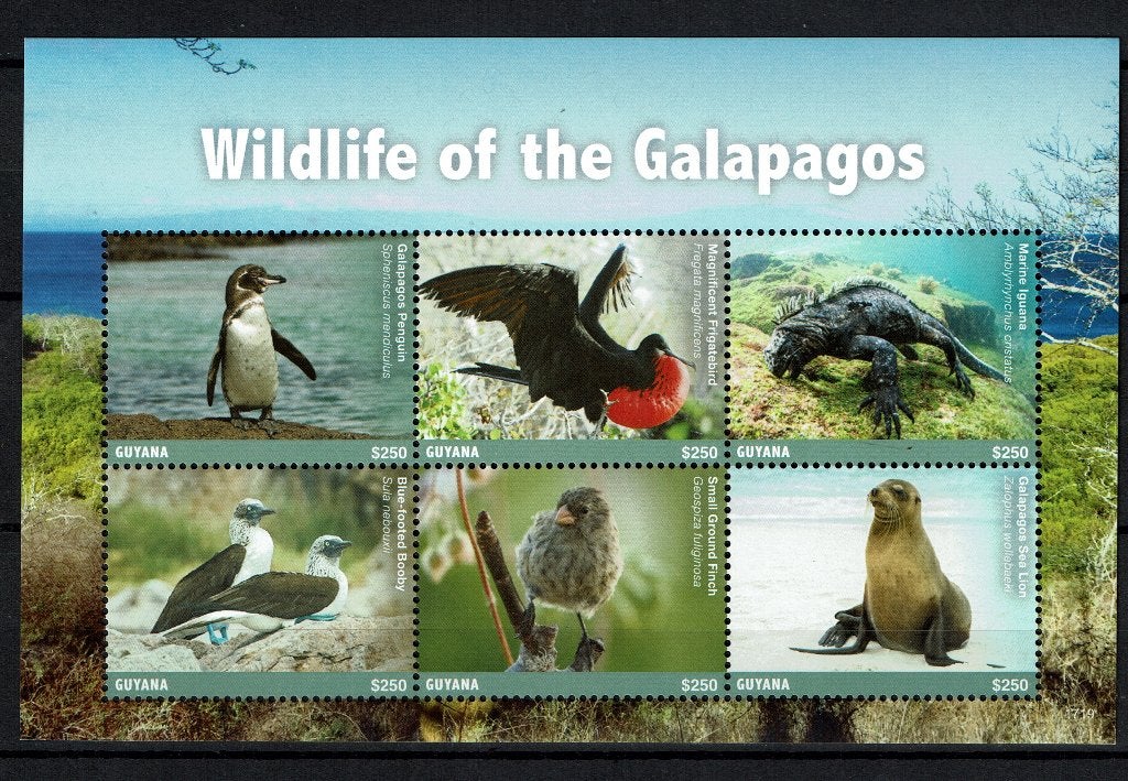 guyana 2017 pf blok wildlife vogels hagedissen zeezoogdieren, Postzegels en Munten, Ophalen of Verzenden, Postfris, Dier of Natuur