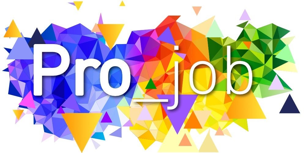 Senior Contractmanager IT