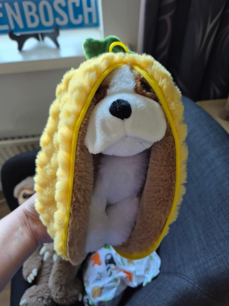 Annanas knuffel hond, Ophalen of Verzenden, Zo goed als nieuw, Hond