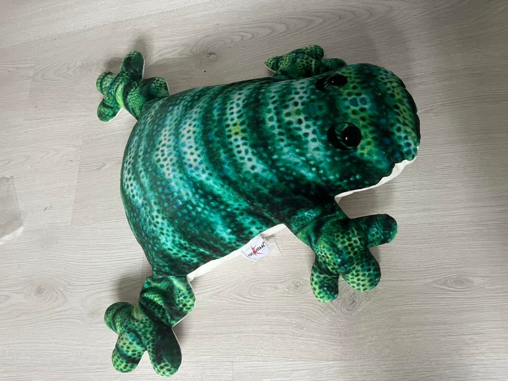 Verzwaring kussen kikker LUCOVITAAL TE KOOP!, Ophalen of Verzenden, Zo goed als nieuw