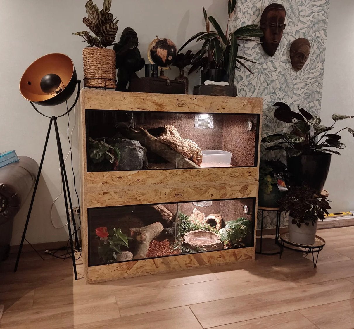 NIEUW ‼️ TERRARIUM OSB ( 120x50x60cm ), Dieren en Toebehoren, Ophalen, Nieuw, Terrarium of Paludarium