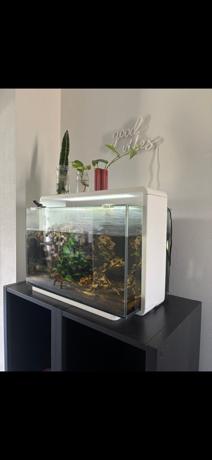 Complete Superfish Home 60, Ophalen, Inclusief deksel, Superfish, Gevuld zoetwateraquarium