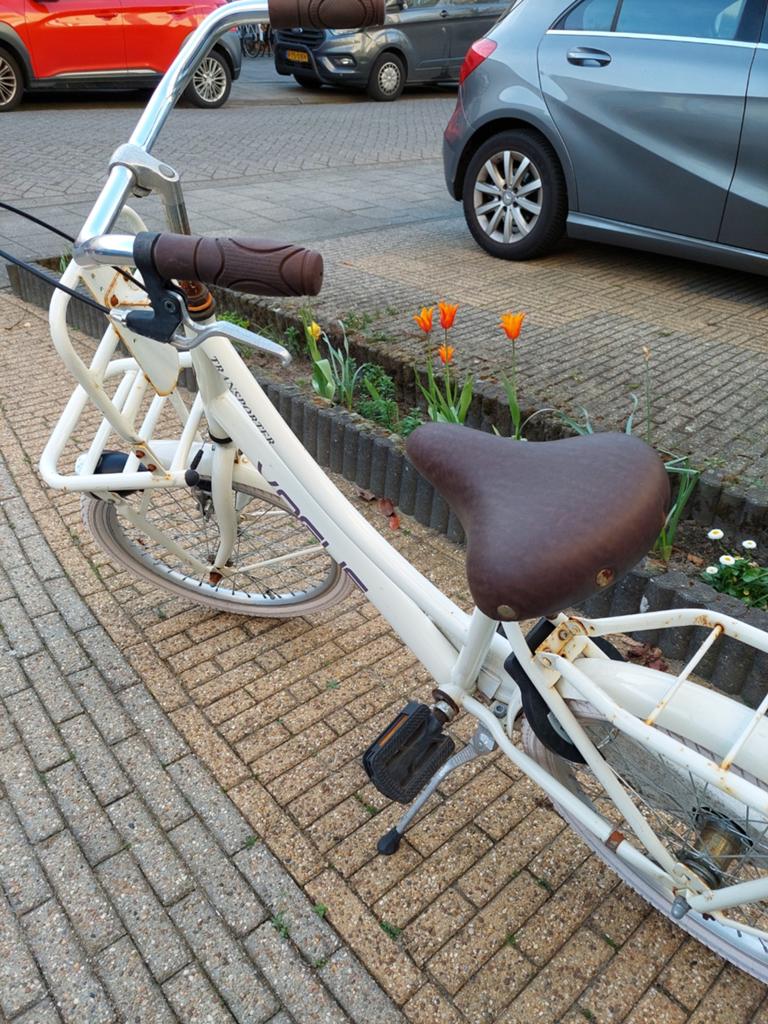 Meisjes fiets, Ophalen, 20 inch, Vogue
