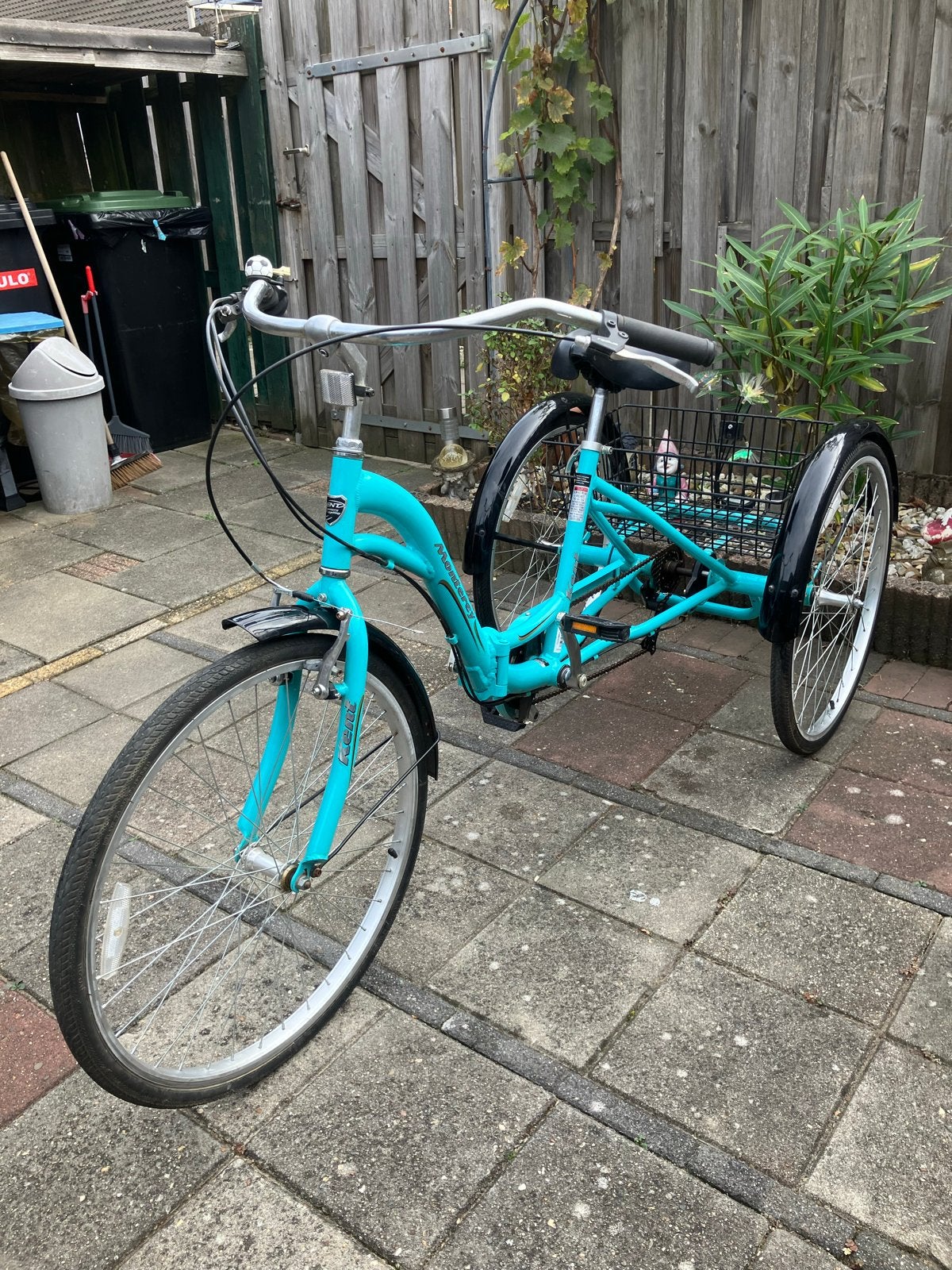 Turquoise driewieler met 7 versnellingen en mand, Ophalen, Gebruikt, Velgrem