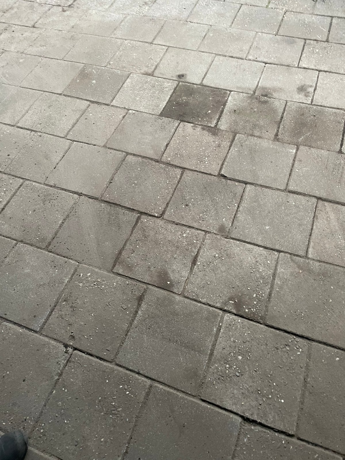 Stoep tegels gratis, Ophalen, 60 cm of meer, Keramiek, Zo goed als nieuw
