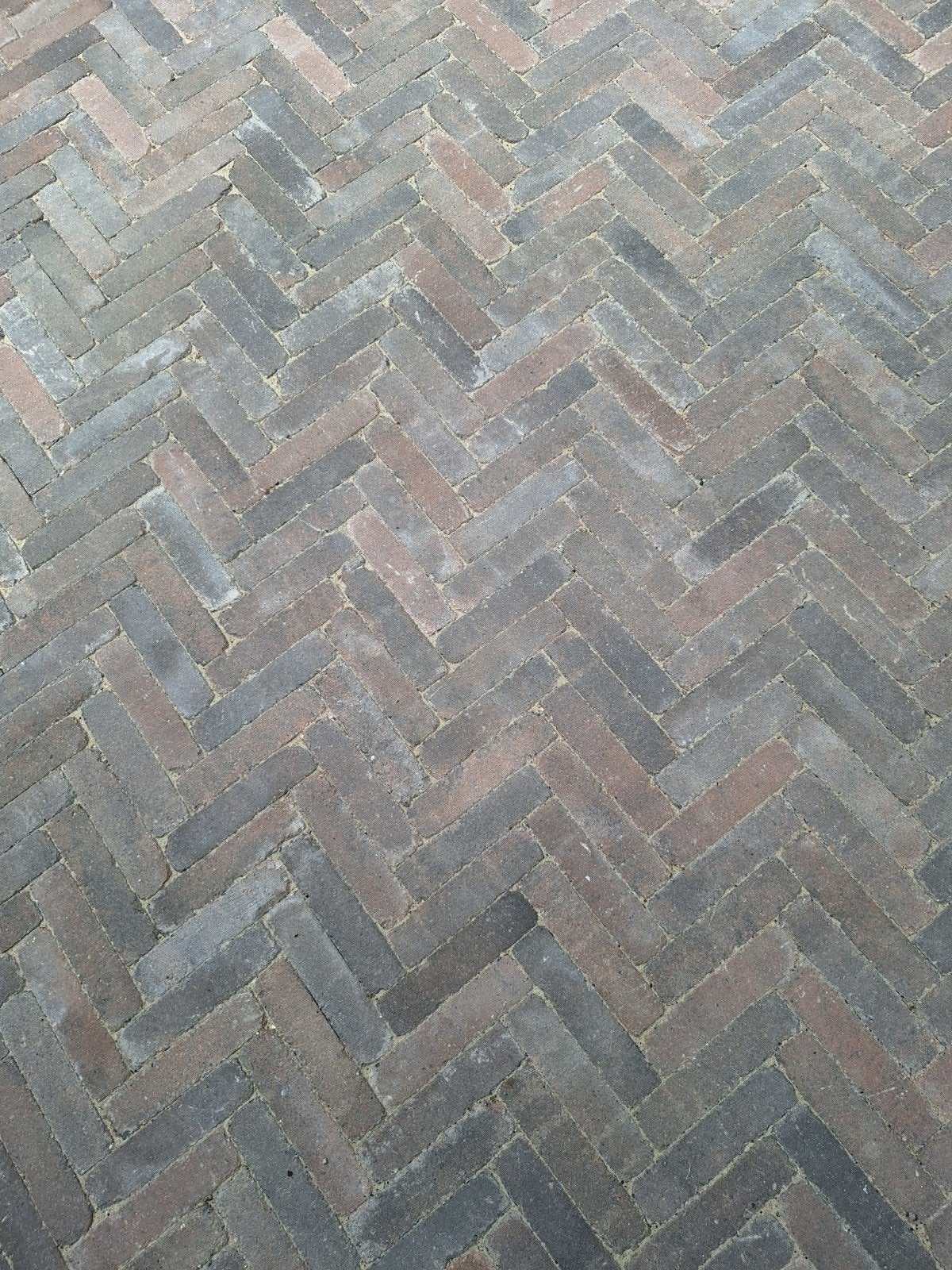 Nieuwe Tumbelton waalformaat 20x5x7,3 Berkly, Tuin en Terras, Tegels en Klinkers, Ophalen, Nieuw, Beton, Klinkers