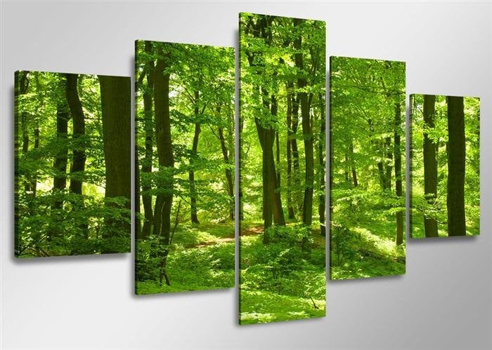 Nieuw * 5 Luik van Canvas * Green Forrest 80x160cm, Ophalen of Verzenden