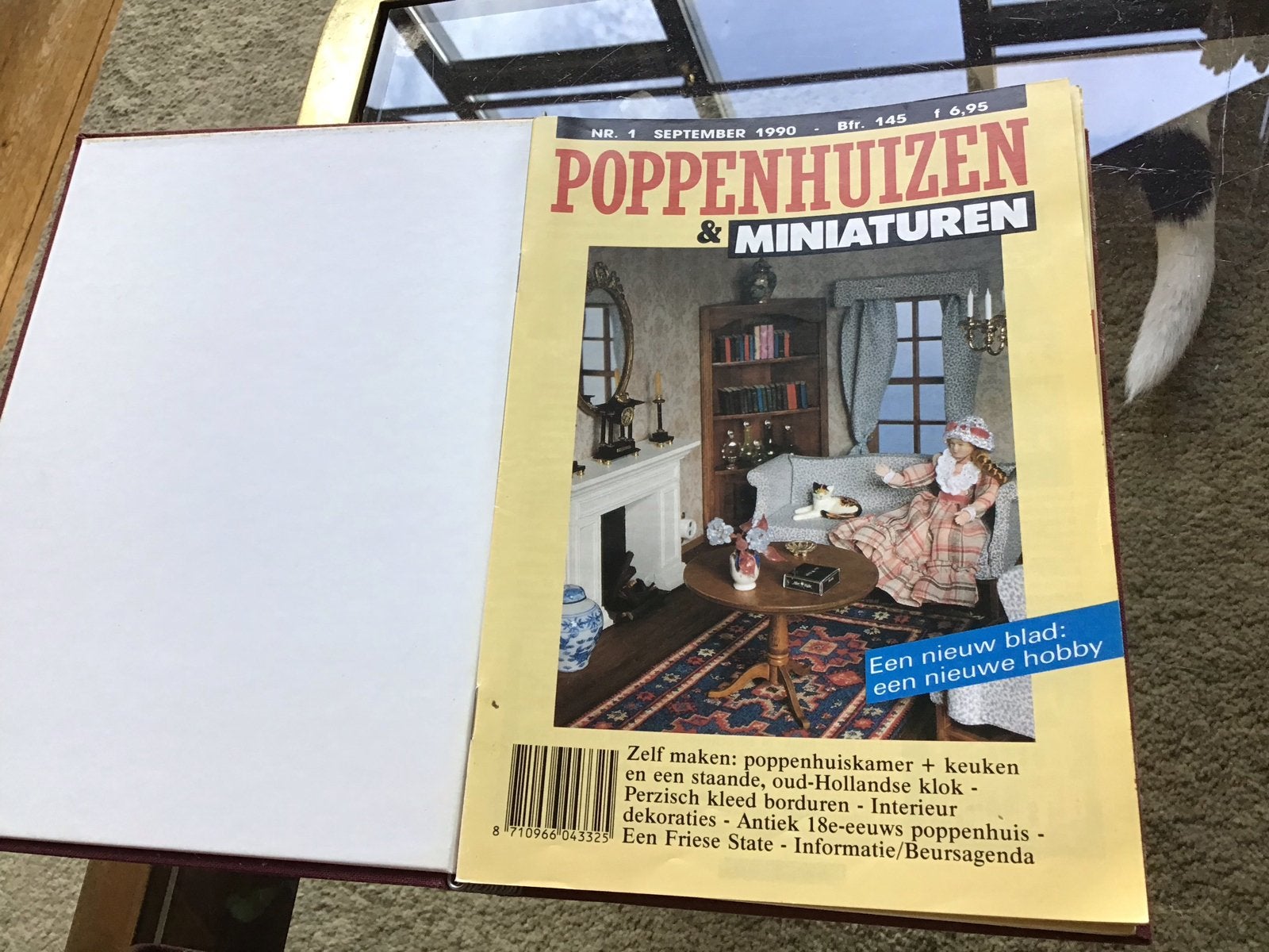 Poppenhuizen & Miniaturen tijdschriften (1 map A5, overig A4, Ophalen, Gelezen, Overige typen
