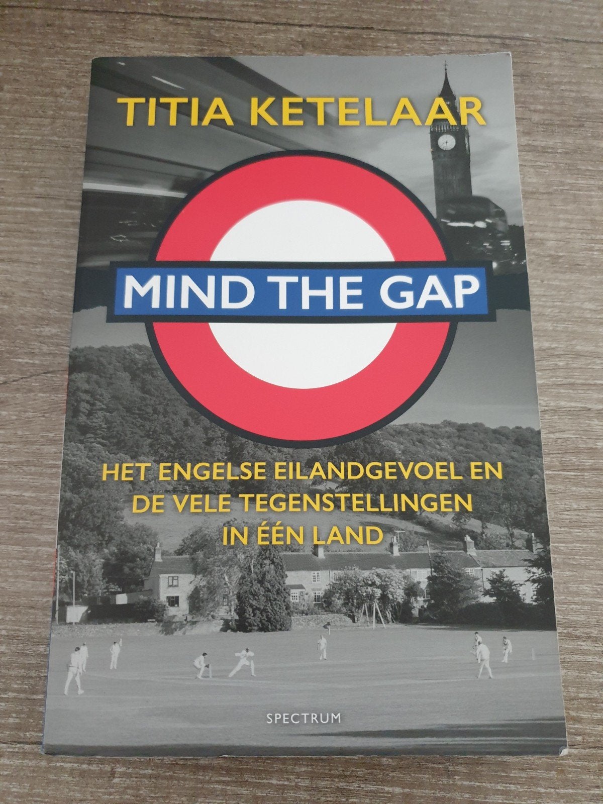Mind the Gap - Titia Ketelaar (Boek), Ophalen of Verzenden, Gelezen, Titia Ketelaar
