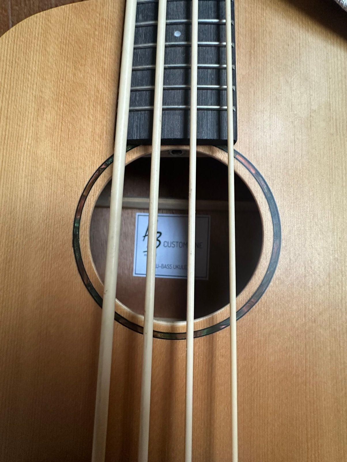 Bas ukelele met mooie zwarte tas/hoes en ophang systeem, Ophalen, Zo goed als nieuw, Overige typen