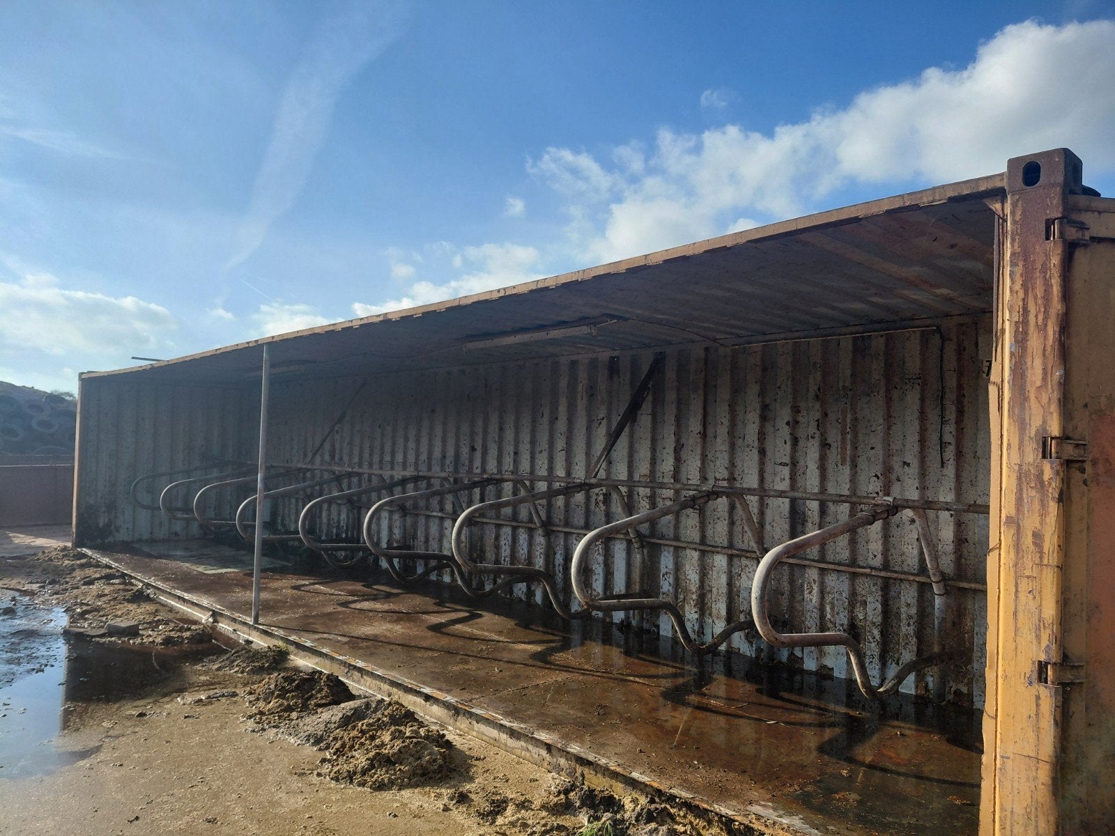 Container met 10 ligboxen spinder profi, Ophalen of Verzenden