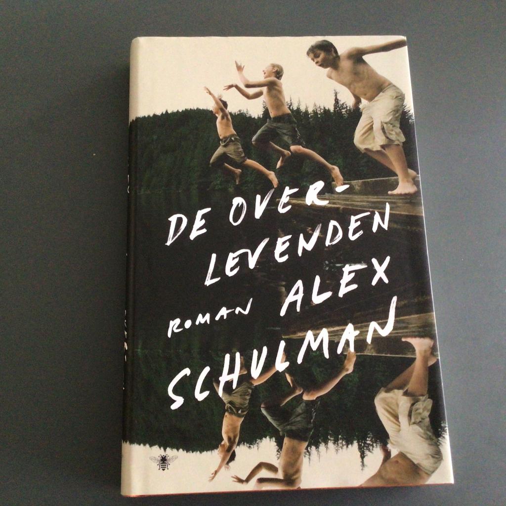 Alex Schulman - De overlevenden, Boeken, Europa overig, Alex Schulman, Ophalen of Verzenden, Zo goed als nieuw