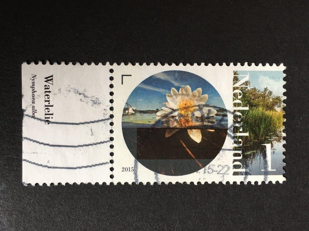 3251 Nederland 2015 NVPH 3295 Waterlelie met tab- gestempeld, Ophalen of Verzenden, Na 1940, Gestempeld
