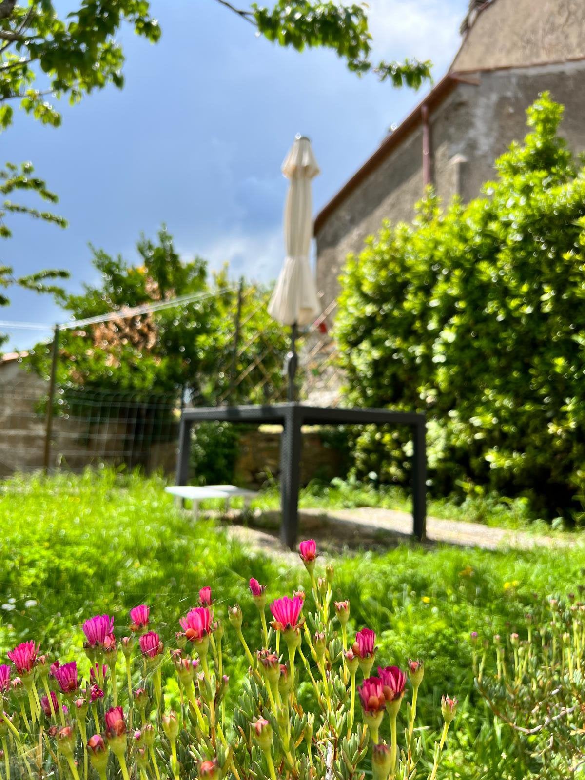 Drie weken Toscane 675 Euro september 2026, Eigenaar