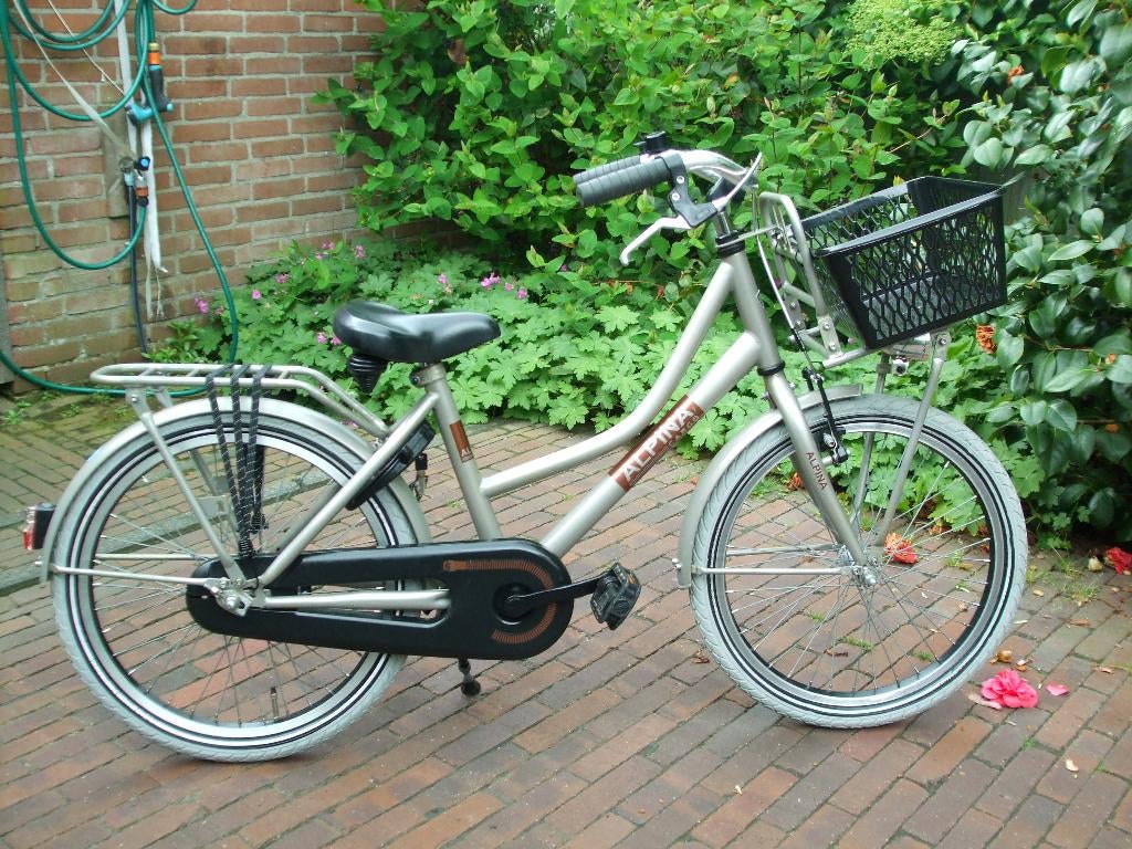 alpina Cargo 20 inch igst, Ophalen, Terugtraprem, Alpina Loekie Popal Batavus Sparta Volare Gazelle Supersuper, 20 inch