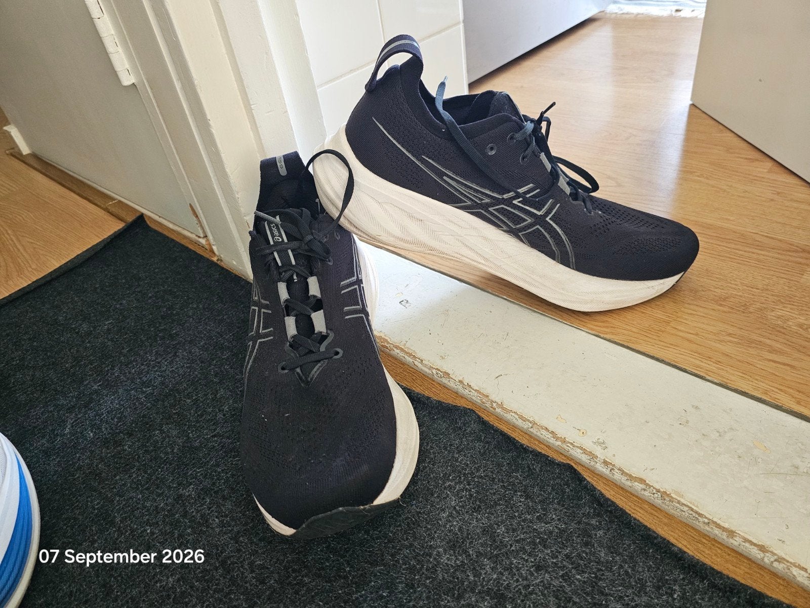 Asics Gel Nimbus 26. maat 48, Sport en Fitness, Basketbal, Ophalen of Verzenden, Schoenen