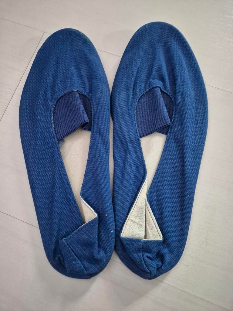 Kaesbach Tanzschuh euritmie schoentjes maat 37, Ophalen, Zo goed als nieuw, Schoenen