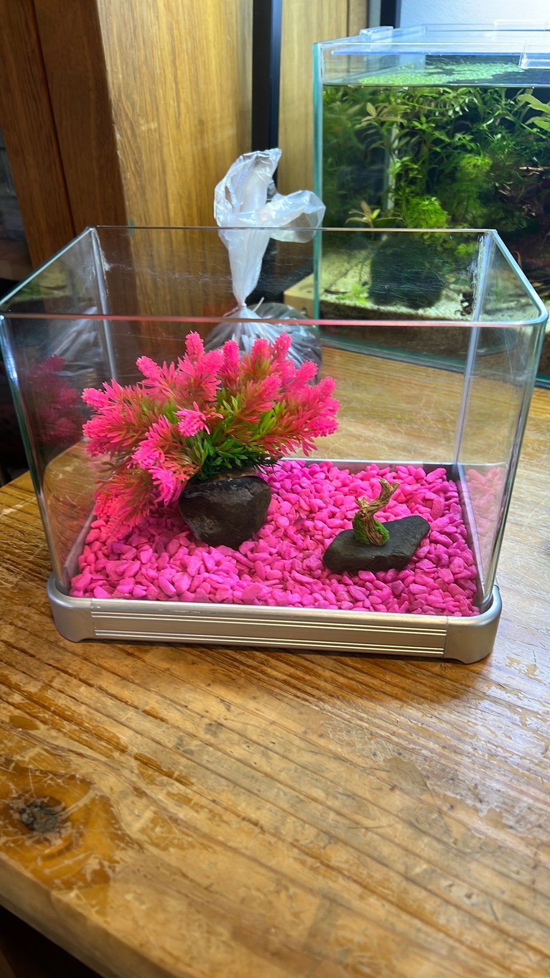 Aquarium 4 liter, Dieren en Toebehoren, Vis