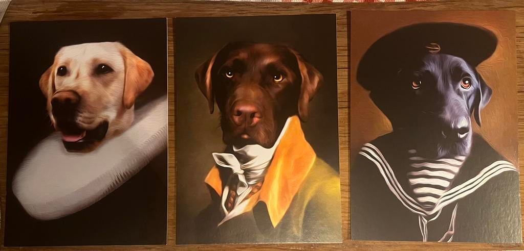 Kunstkaarten teNeues Dogs, Ophalen of Verzenden