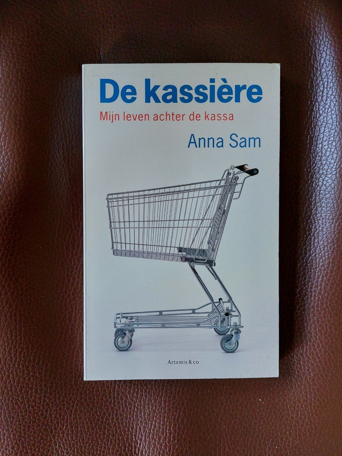 De kassière / Anna Sam, Ophalen of Verzenden, Nieuw, Anna Sam