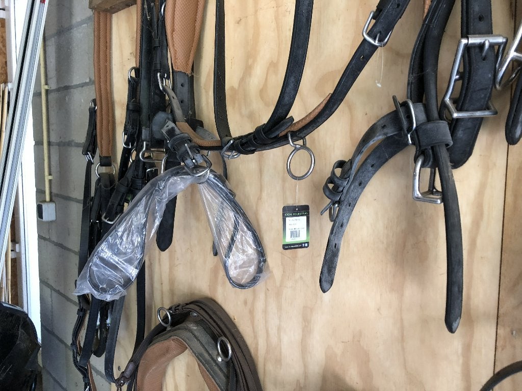 paardentuig, Dieren en Toebehoren, Overige disciplines, Nieuw, Zwart, Cob
