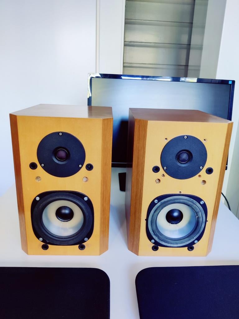 SPEAKER & CO 2-weg boekenplankluidsprekers, Overige merken, Gebruikt, Ophalen of Verzenden, 60 tot 120 watt
