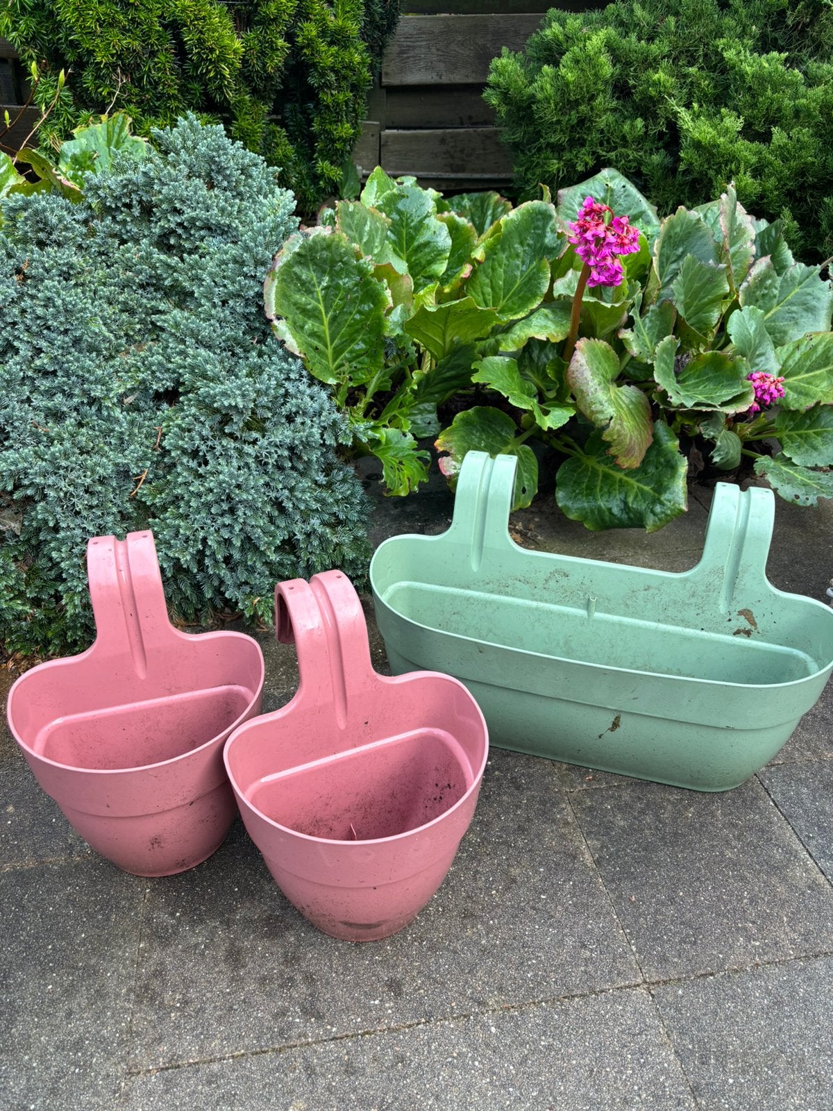 Elho balkon plantenbakken, Ophalen, Kunststof, Minder dan 30 cm, Balkon