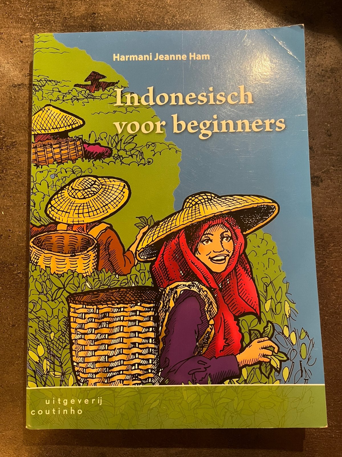 Indonesisch voor beginners - Harmani Jeanne Ham, Boeken, Ophalen of Verzenden, Alpha, Zo goed als nieuw
