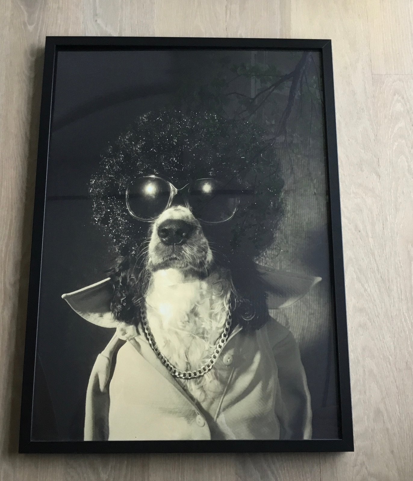 Wissellijst met afbeelding hond., Ophalen, Gebruikt, Kunststof
