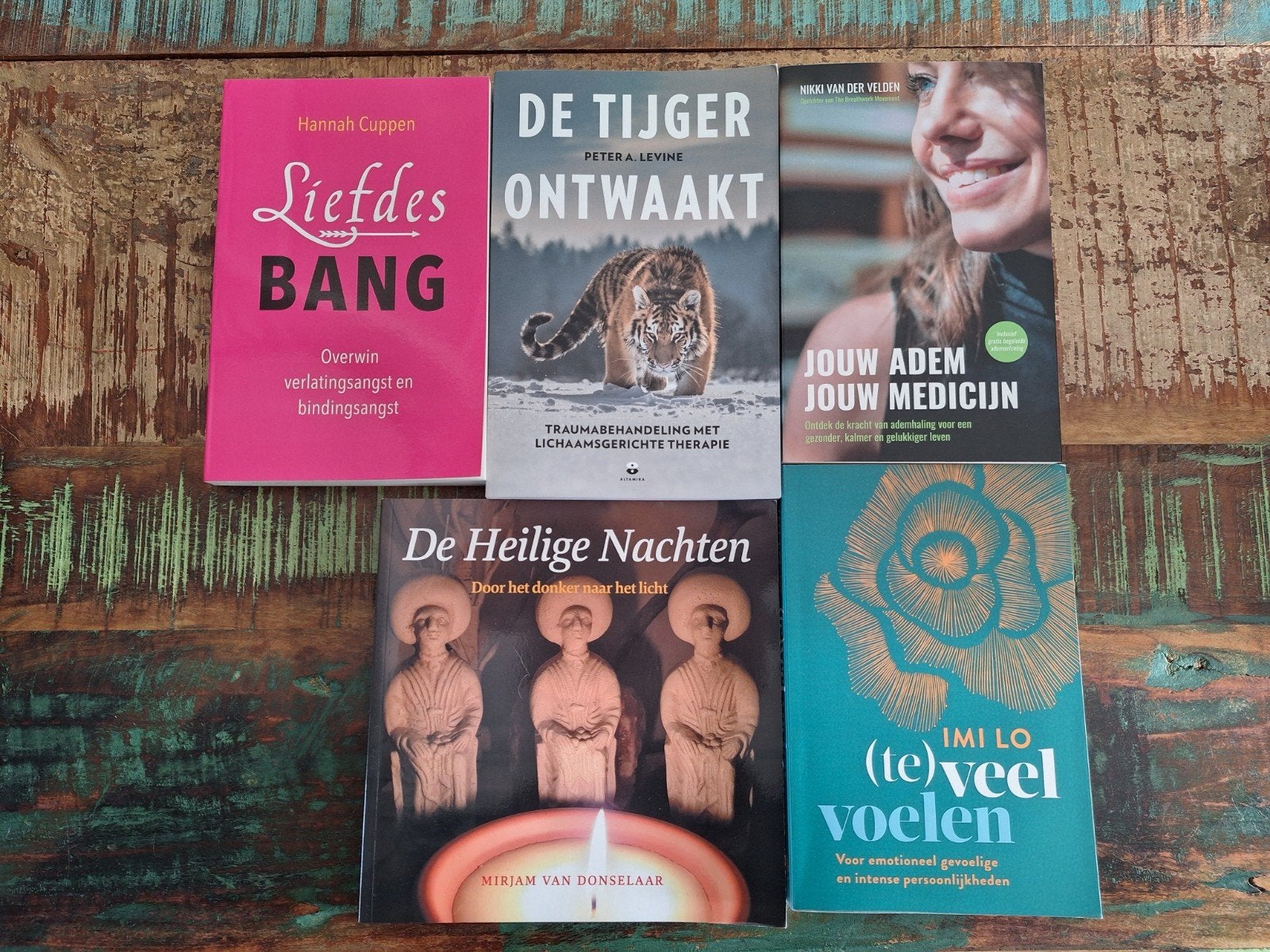 Diverse boeken over psychologie/spiritualiteit, Ophalen of Verzenden, Gelezen, Spiritualiteit algemeen, Achtergrond en Informatie