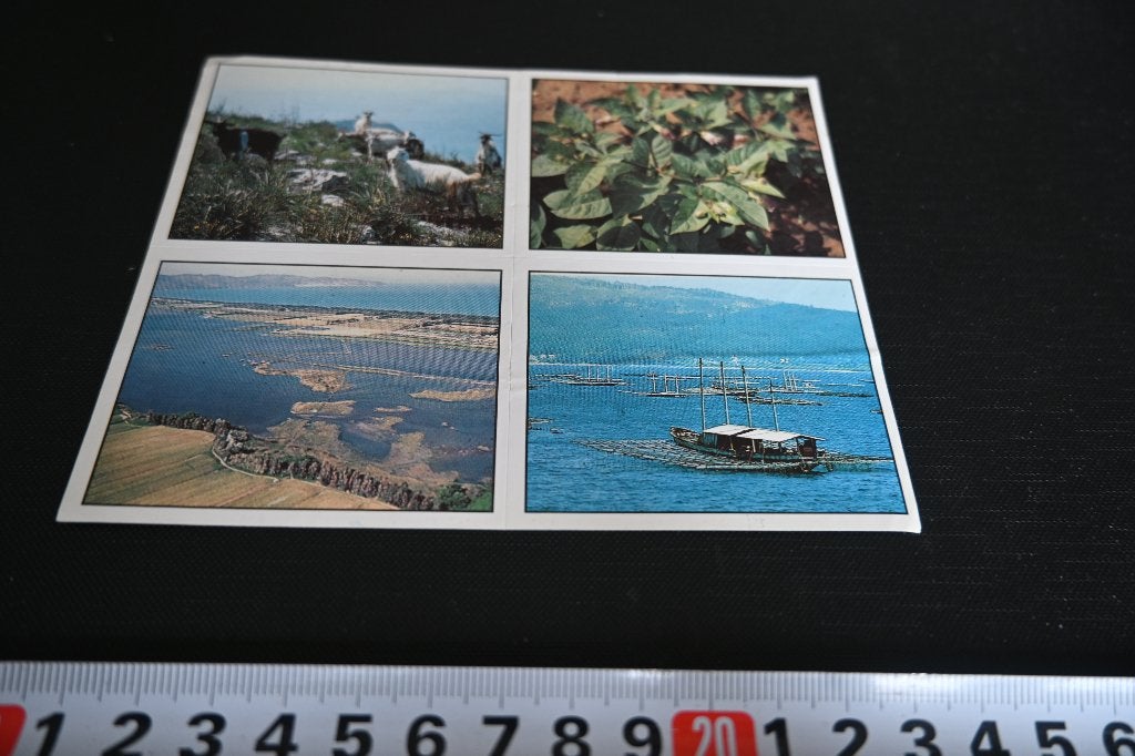 sticker PANINI set Speelboom WWF  290-233-189-231, Verzamelen, Ophalen of Verzenden, Zo goed als nieuw