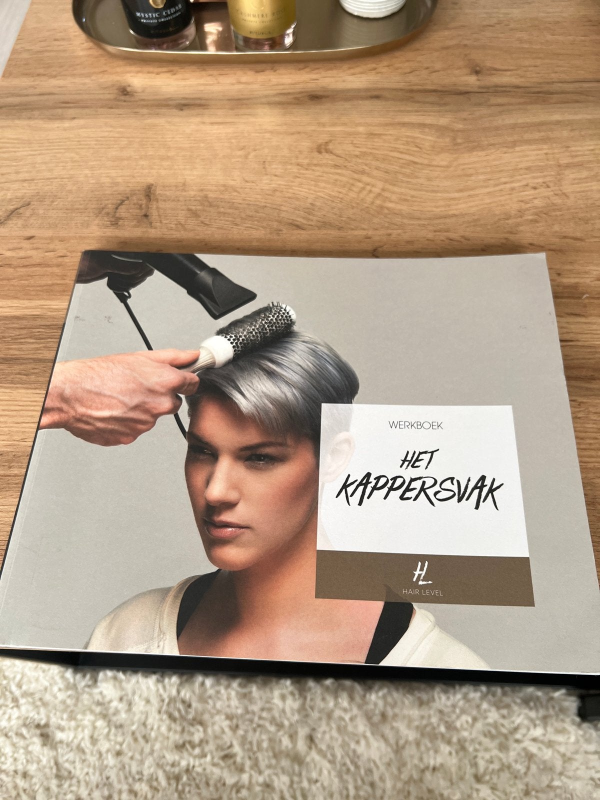Werkboek Het Kappersvak - Hair Level, Boeken, Ophalen of Verzenden, Zo goed als nieuw, MBO