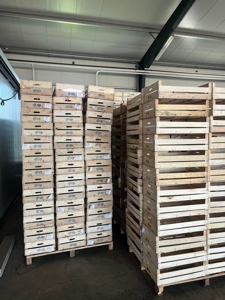 Houten Kratjes circa 15 pallets, Ophalen, Minder dan 25 mm, Zo goed als nieuw, Pallet
